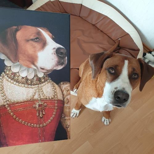 Das zarte Fräulein - Prinz Wau Hundekunstwerk geschenk