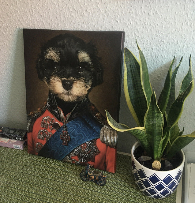 Der kühne Admiral - Prinz Wau Hundeportrait